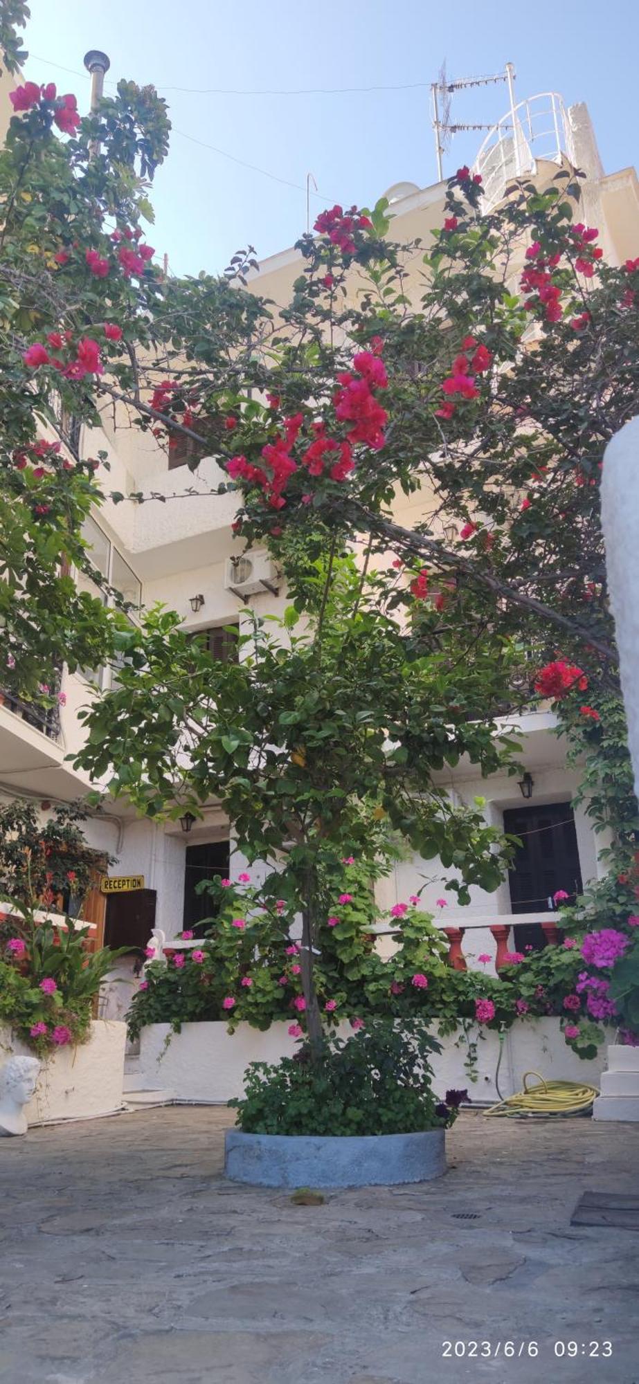 Odysseas Hotel Samos 외부 사진